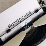 wordpress-for-seo